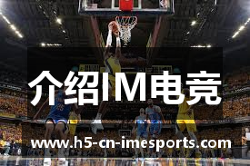 介绍IM电竞